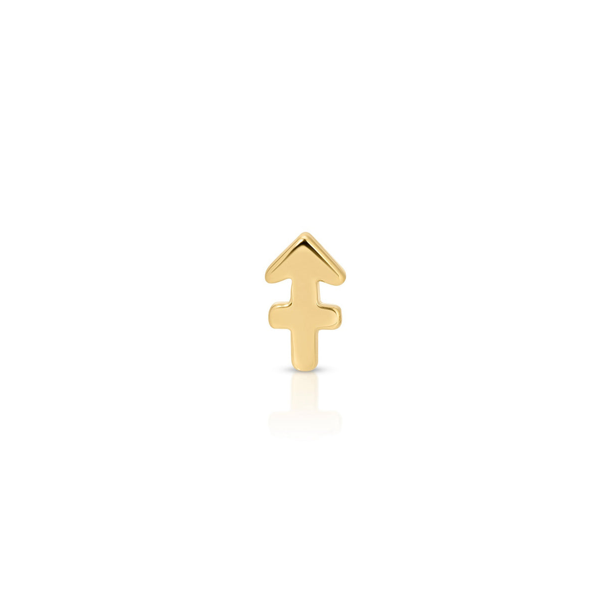 Mini Gold Zodiac Stud Earring