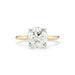 The Jamie Engagement Ring with round center diamond and yellow gold band