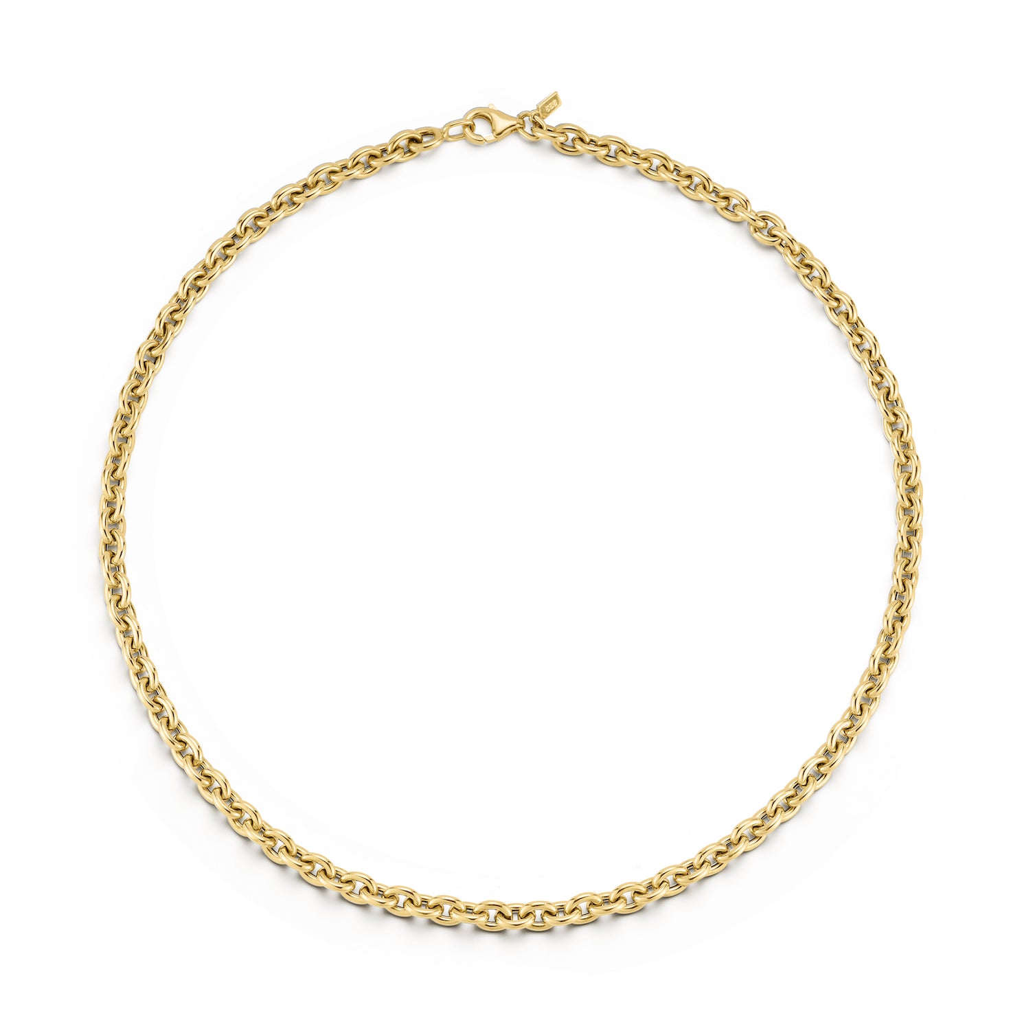 Sienna Chain Necklace in 14k yellow gold