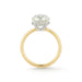 The Jamie Engagement Ring with round center diamond, pave diamonds halo, and yellow gold band