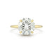 The Lindsay Engagement Ring with round center diamond and yellow gold band