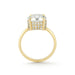 The Lindsay Engagement Ring with round center diamond, basket covered in pave diamonds, and yellow gold band