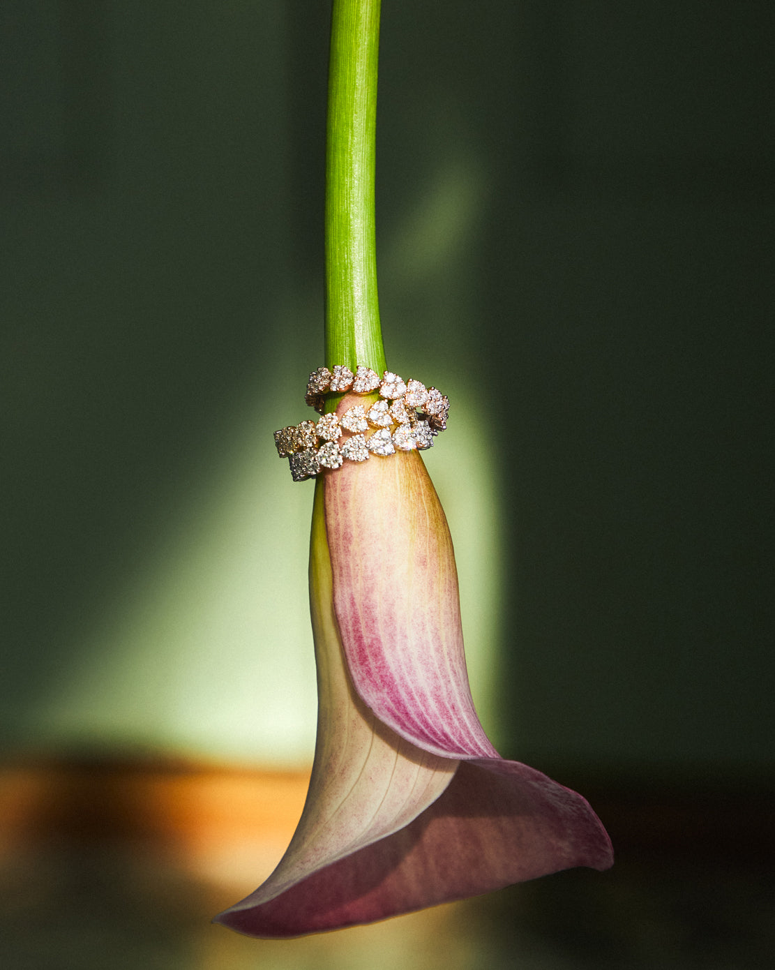 Endless Love Eternity Band