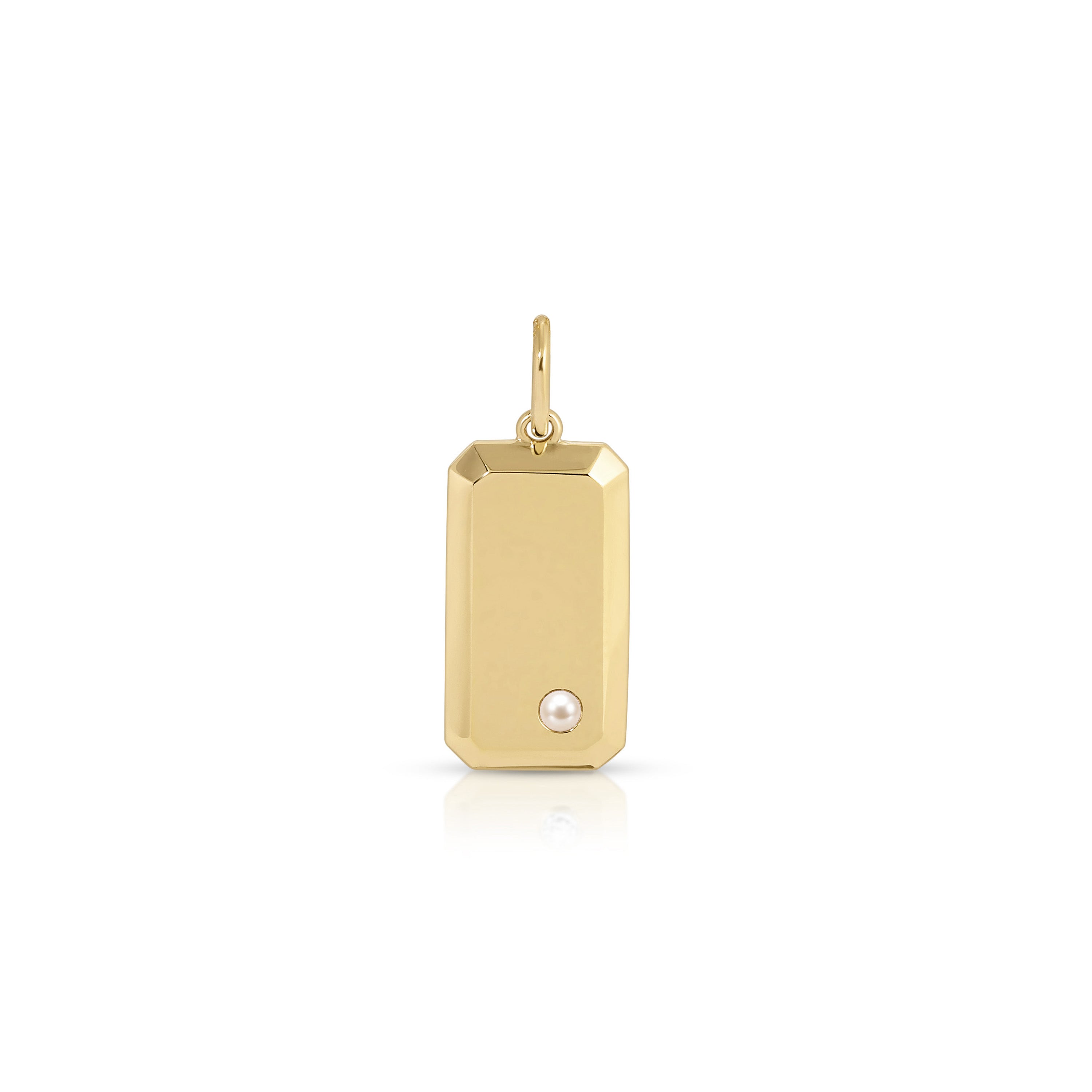 Birthstone Initial Dog Tag