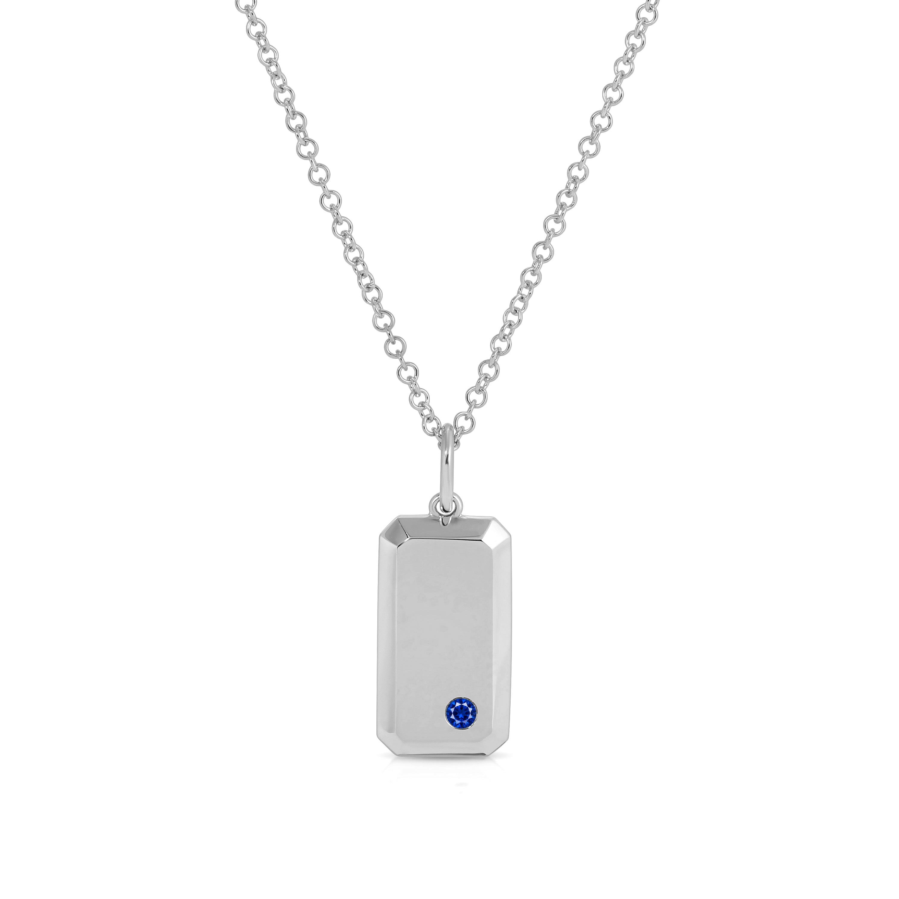 Birthstone Dog Tag Necklace
