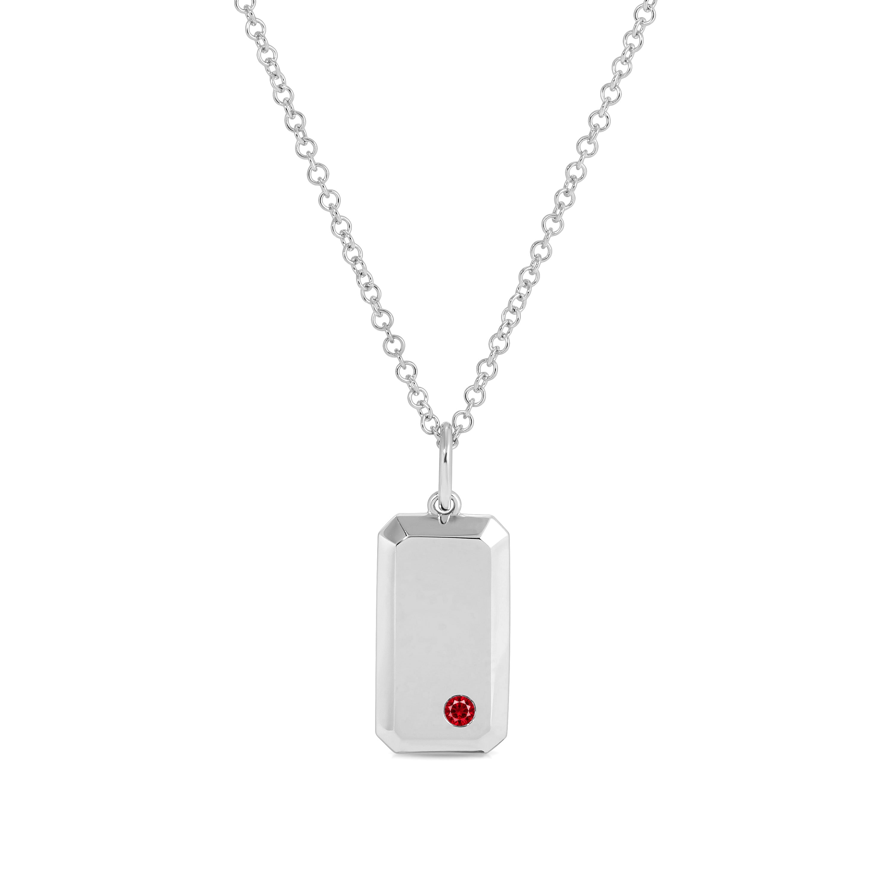 Birthstone Dog Tag Necklace