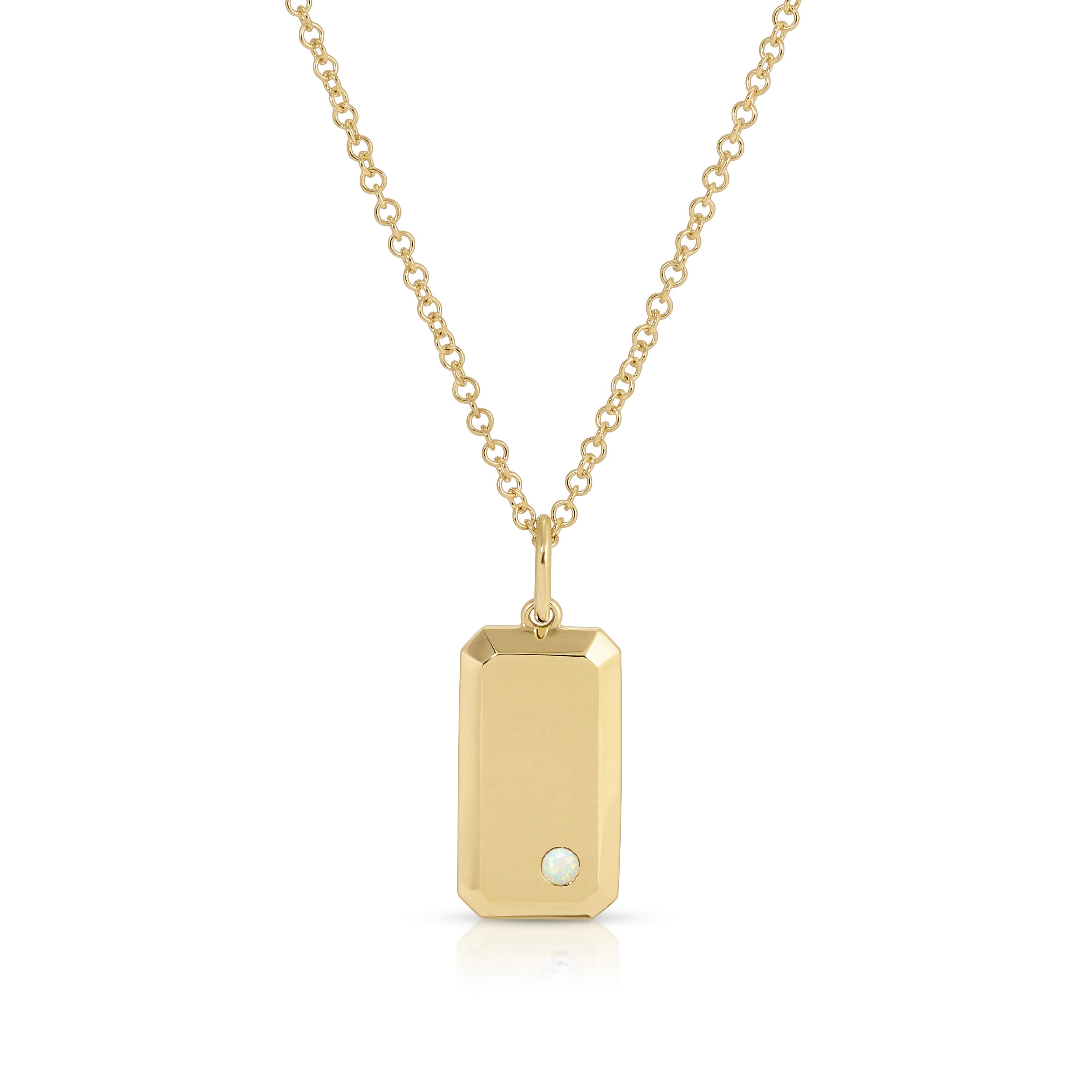 Birthstone Dog Tag Necklace