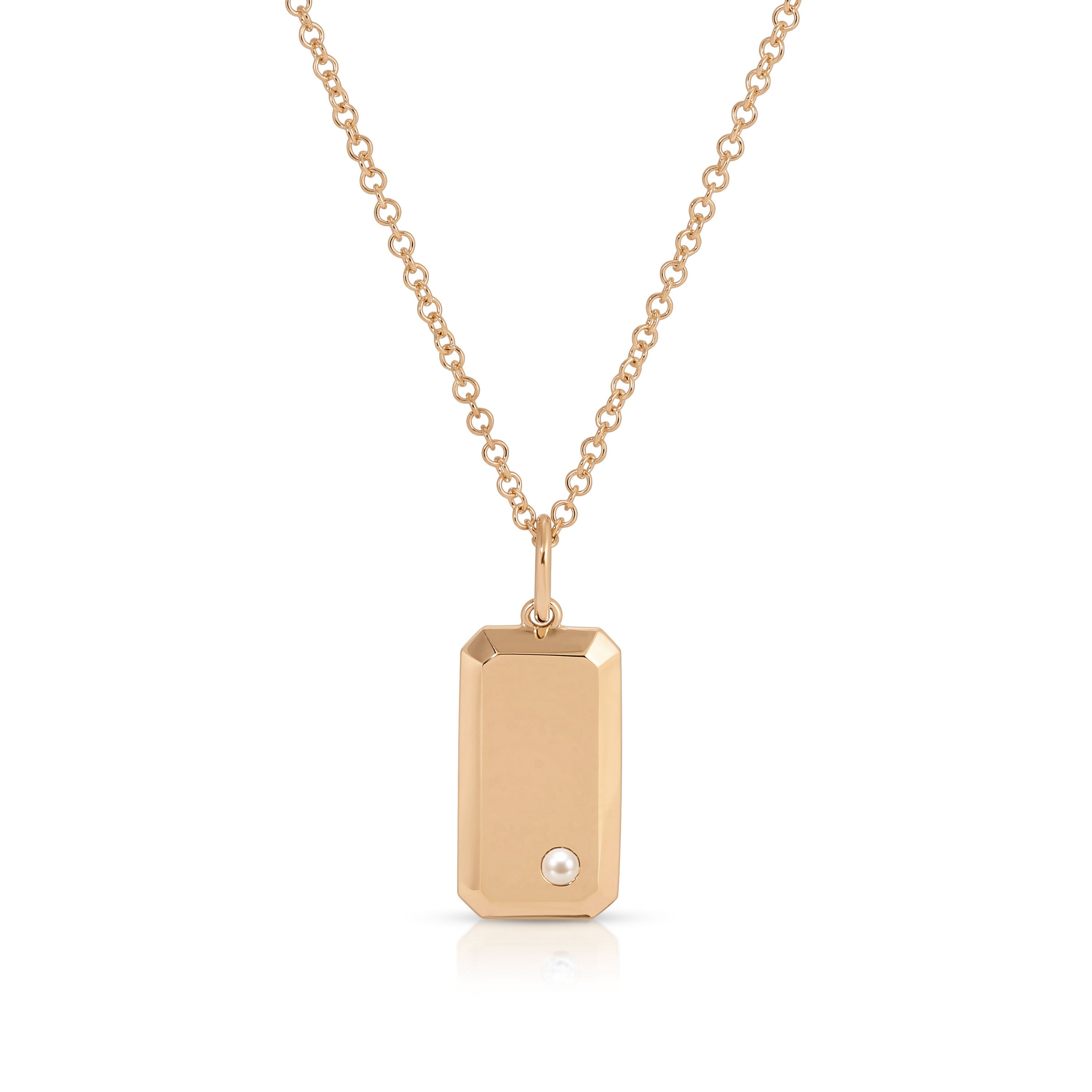 Birthstone Dog Tag Necklace