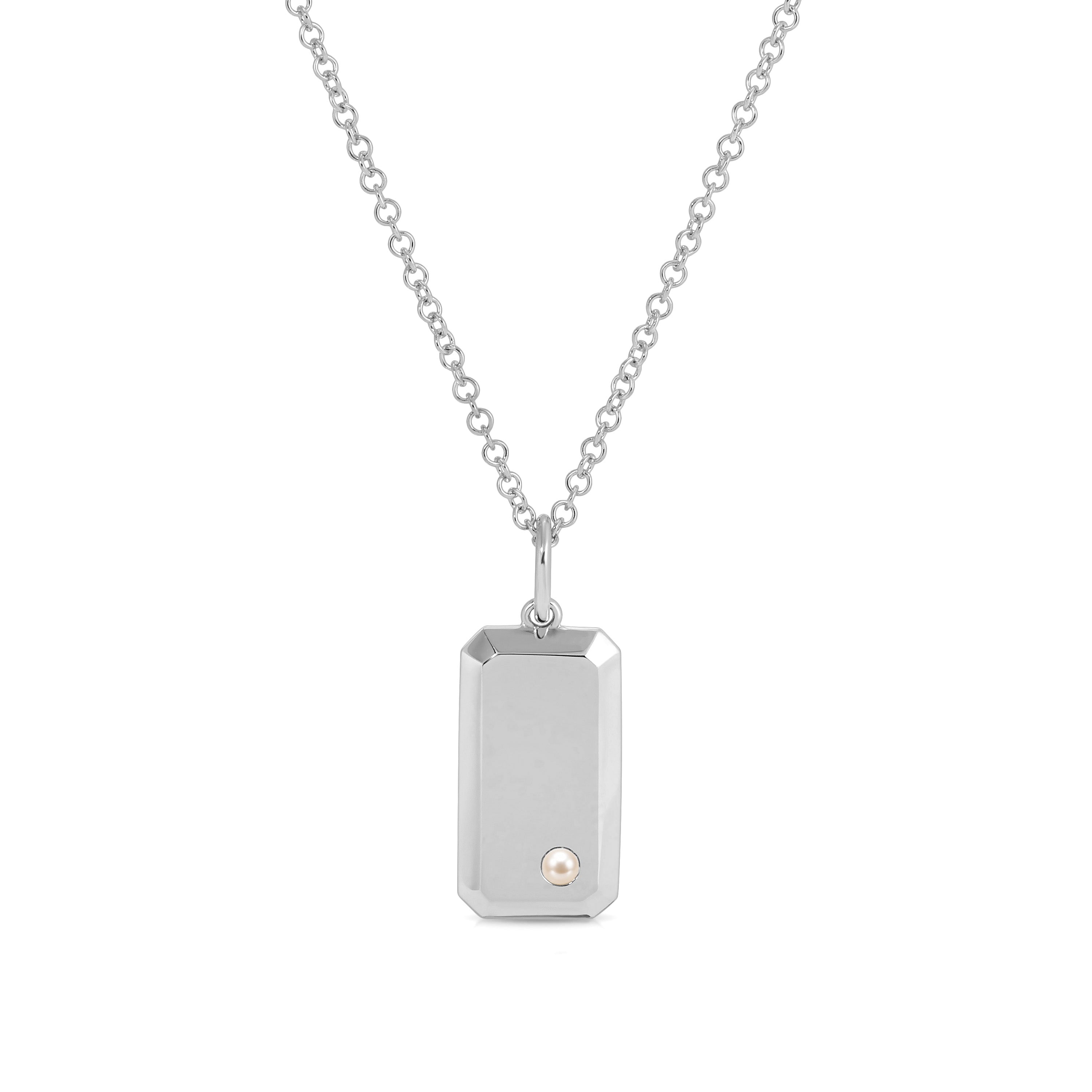 Birthstone Dog Tag Necklace