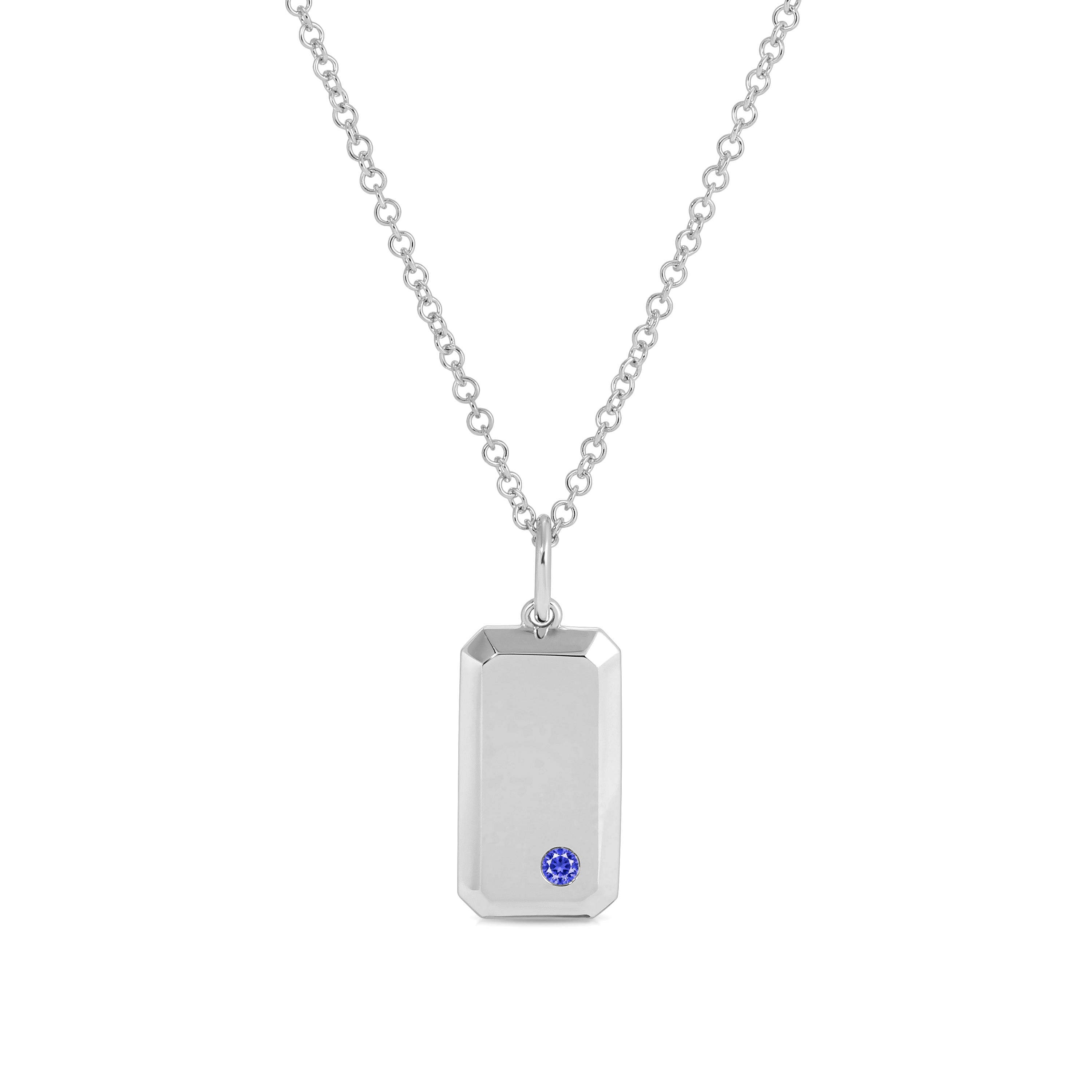 Birthstone Dog Tag Necklace