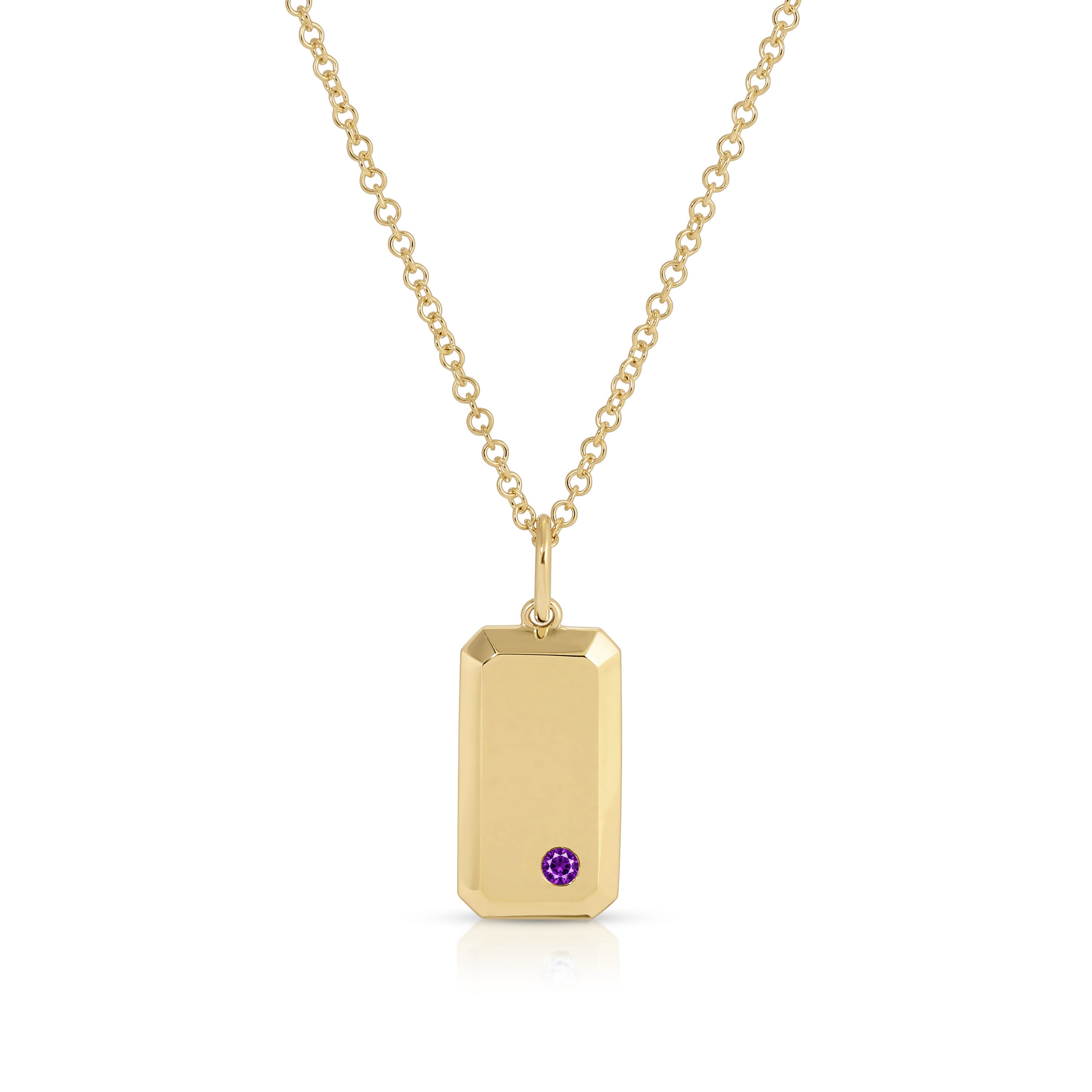 Birthstone Dog Tag Necklace