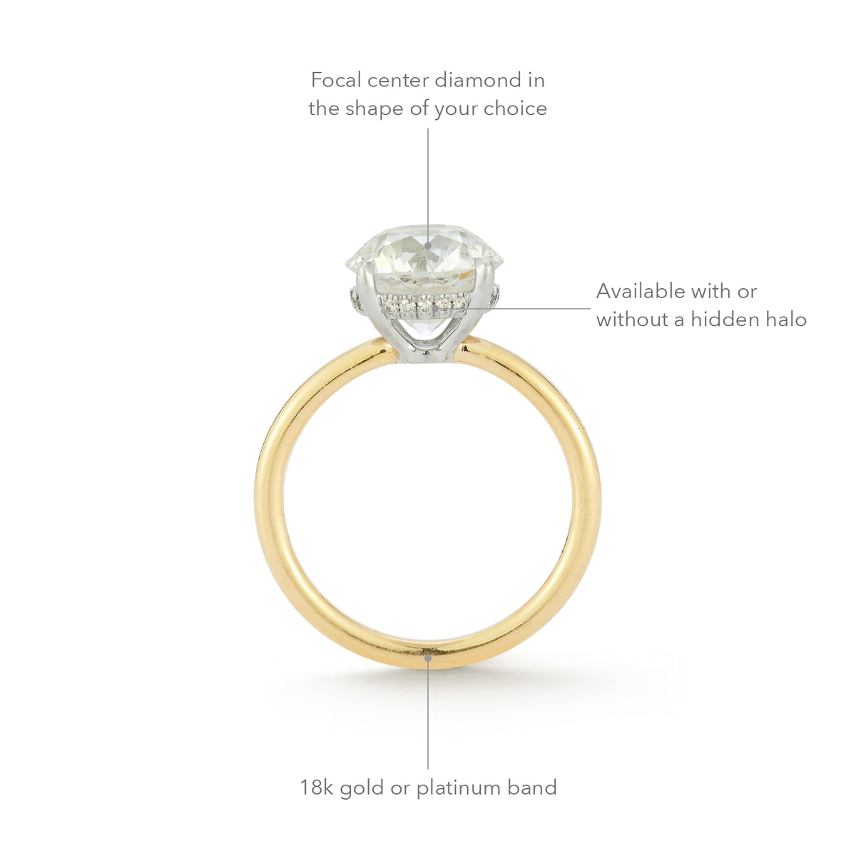 The Jamie Engagement Ring with round center diamond, pave diamonds halo, and yellow gold band