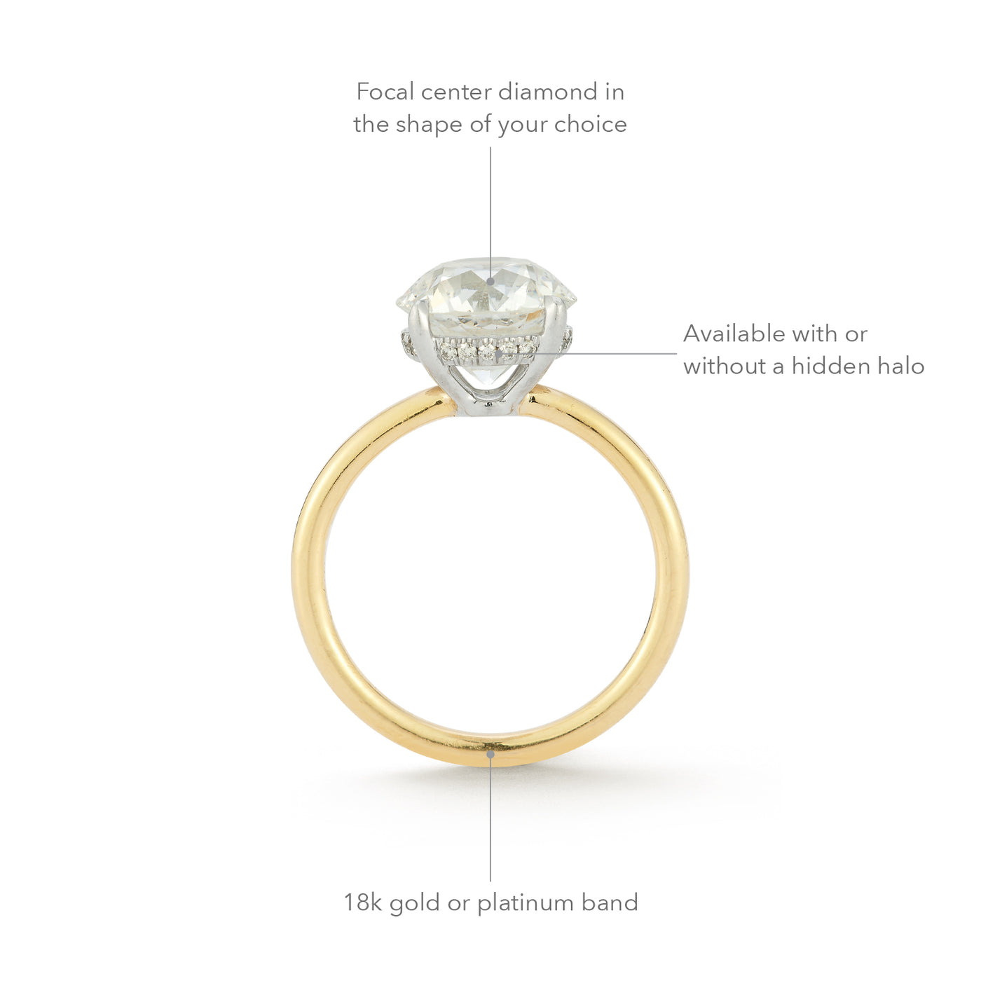 The Jamie Engagement Ring with round center diamond, pave diamonds halo, and yellow gold band