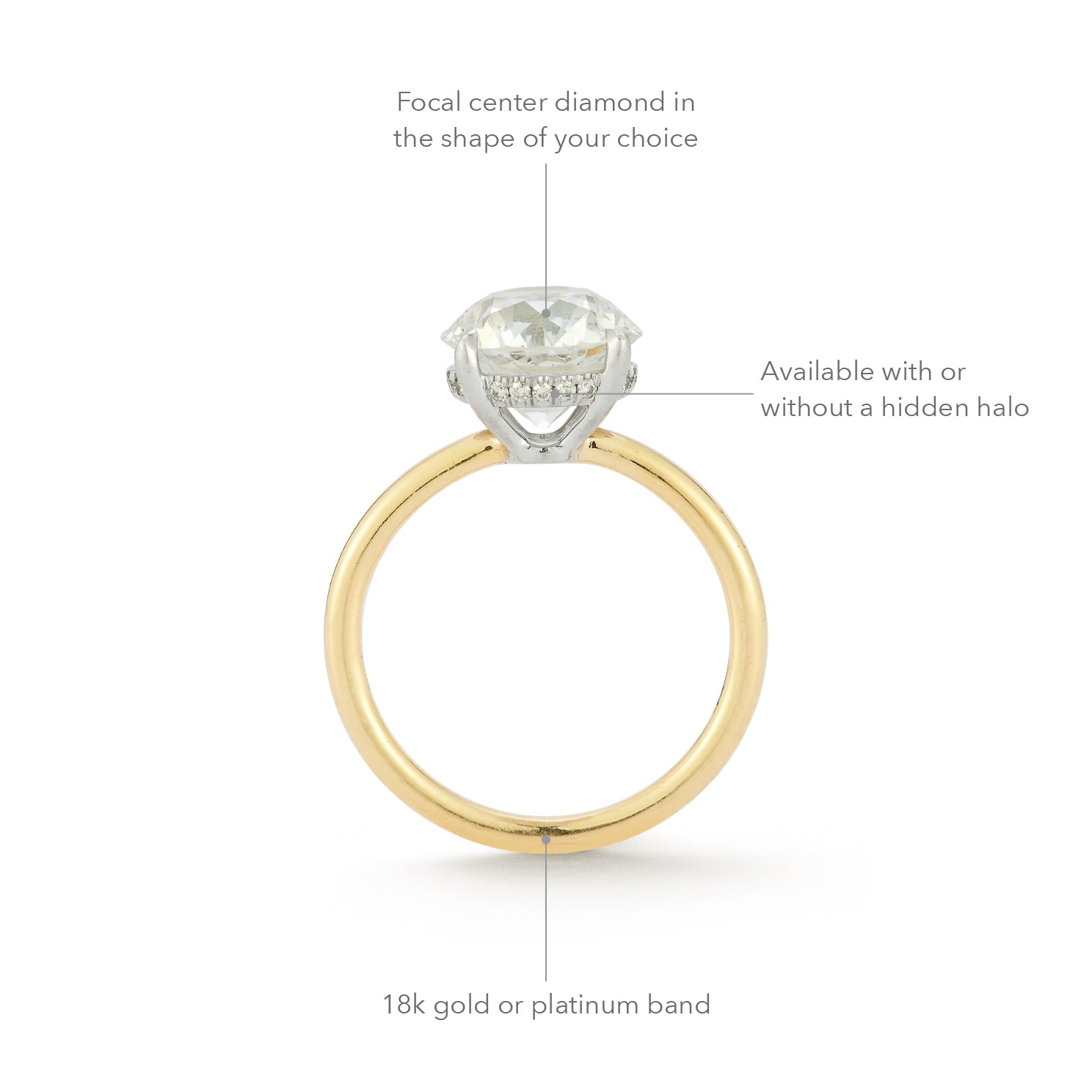 The Jamie Engagement Ring with round center diamond, pave diamonds halo, and yellow gold band