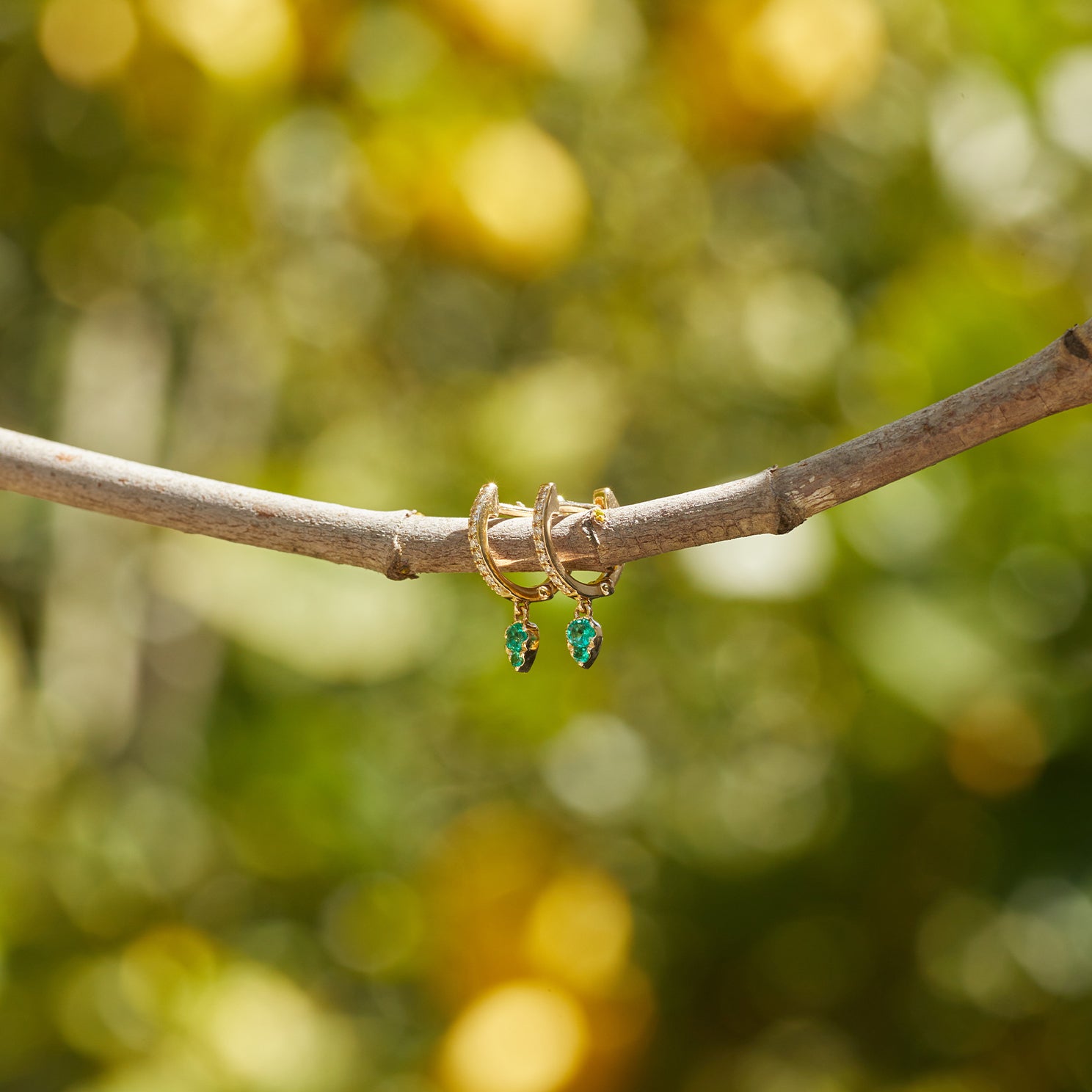 Emerald Teardrop Diamond Mini Huggie Earring in 14k yellow gold looped through tree branch