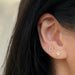 The Lucky Set in 14k Yellow Gold Styled on Ear featuring 1 Horse Shoe Stud and 1 Clover Stud