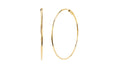Essential Gold Hoop Earrings in 14k yellow gold