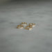 The Essential Huggie Gift Set Earrings in 14k Yellow Gold